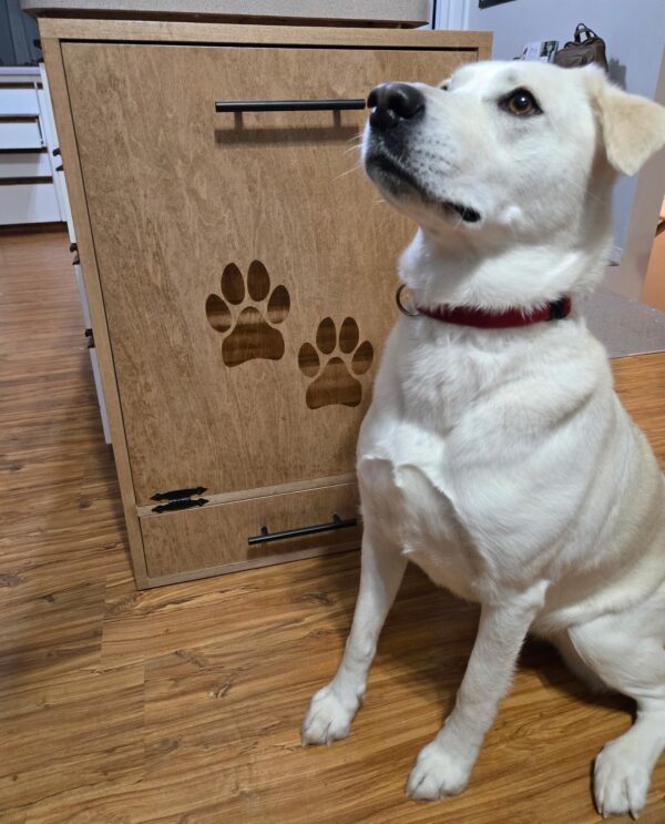 Dog Food Cabinet
